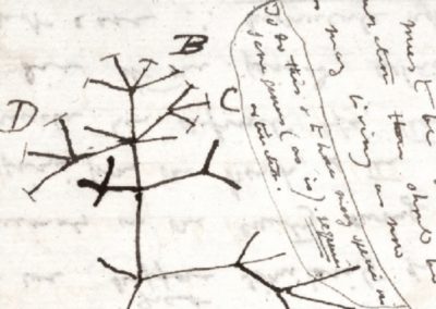 Wissenschaft und Zusammenleben